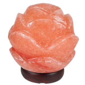 You'll love the Bungalow Rose Lotus Globe 7 lbs…
